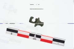 Foto von Bronzeknopf (NHMW-PRAE-026687)